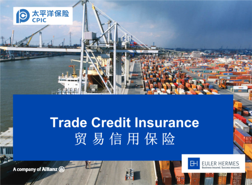 国内贸易信用保险(短期)-140703资料.ppt 19页